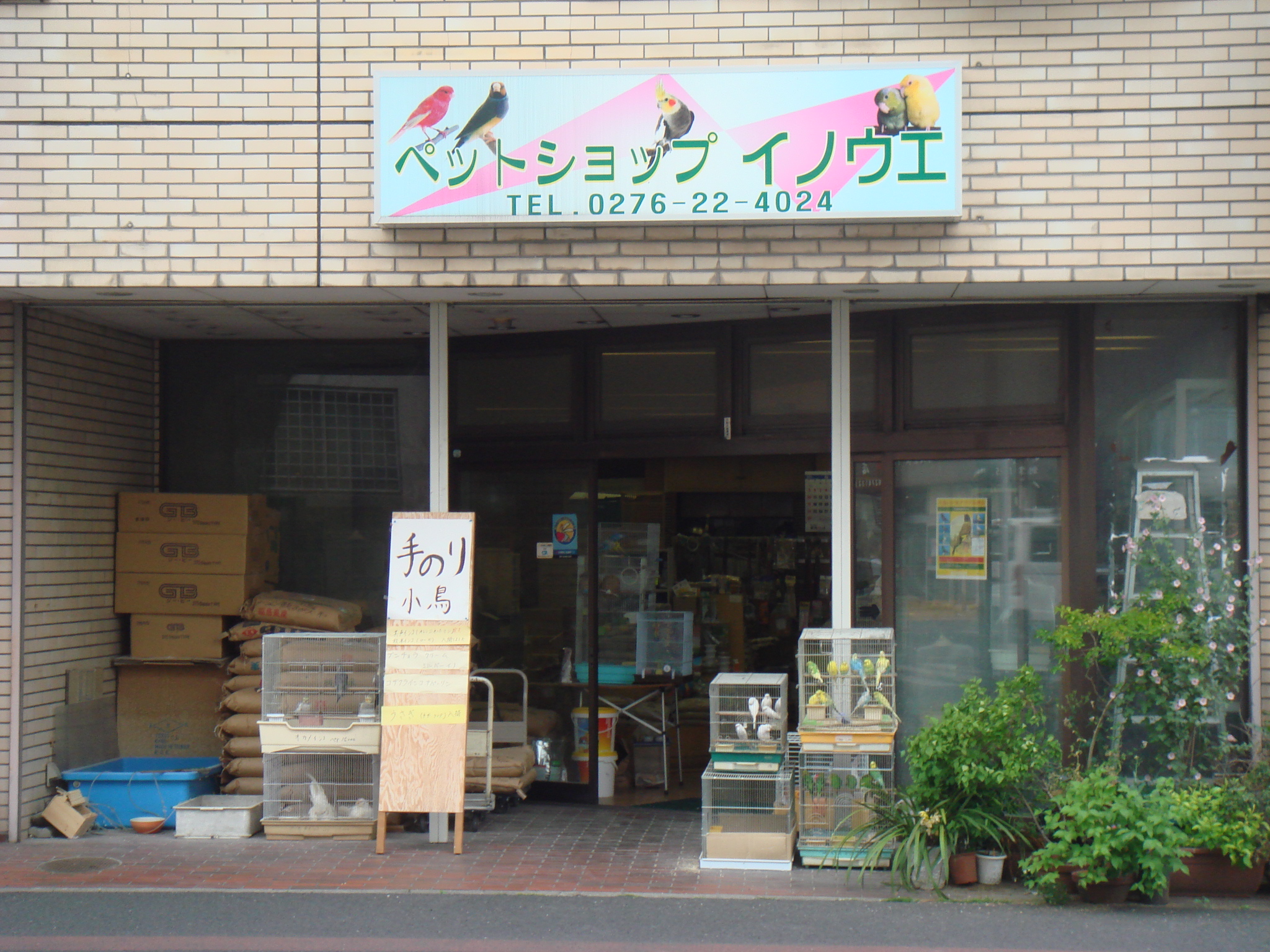 �N���j�b�N�O��